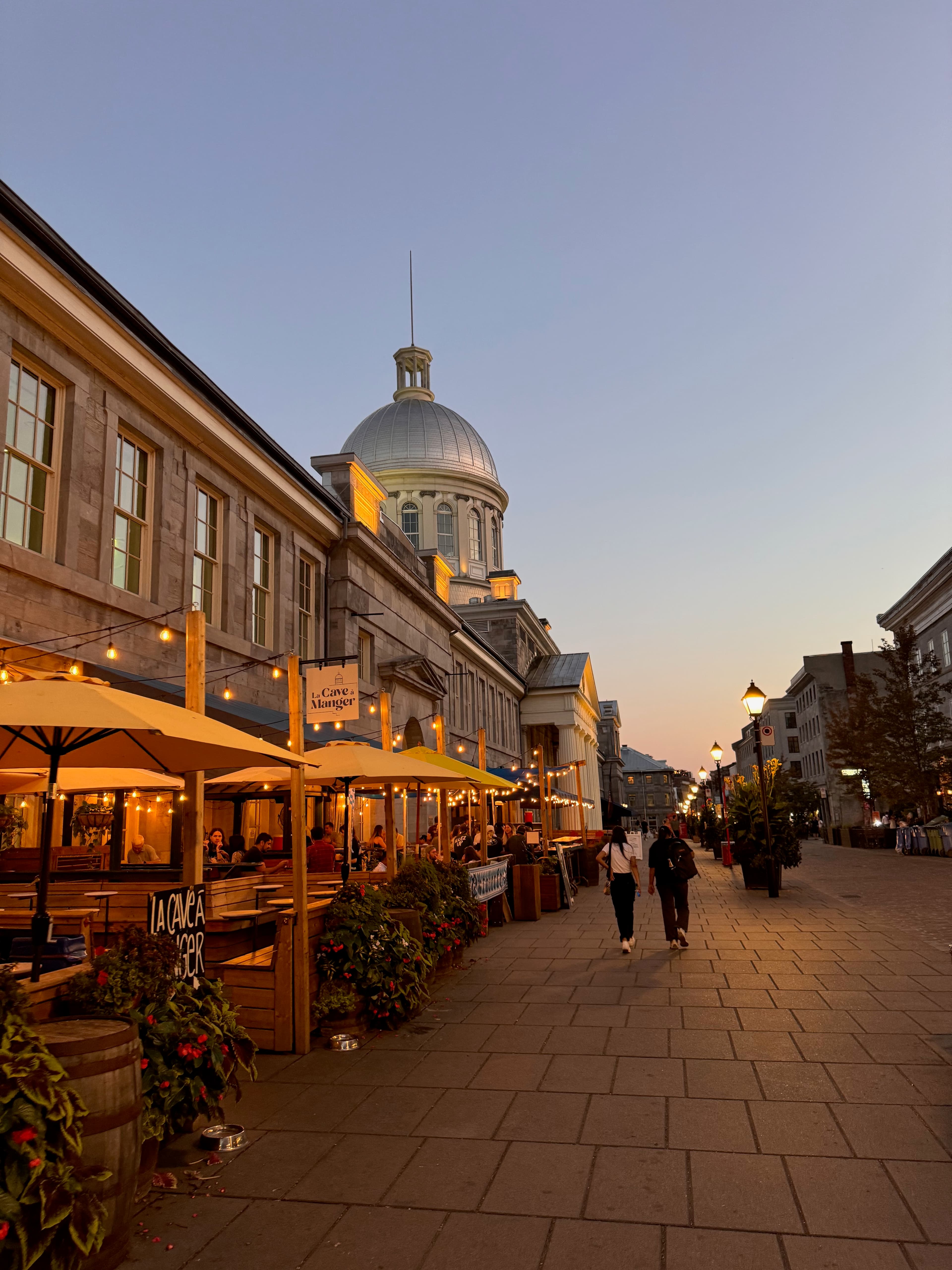 Mount Royal looking toward the city core
